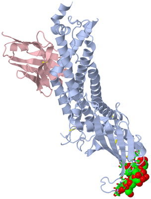 Image Biol. Unit 1 - sites