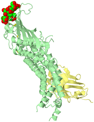 Image Biological Unit 2