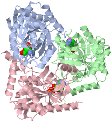 Image Asym./Biol. Unit