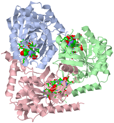 Image Asym./Biol. Unit - sites