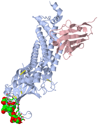 Image Biol. Unit 1 - sites