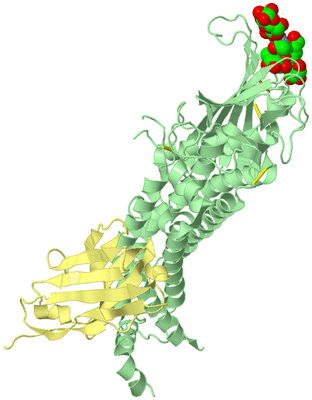 Image Biological Unit 2