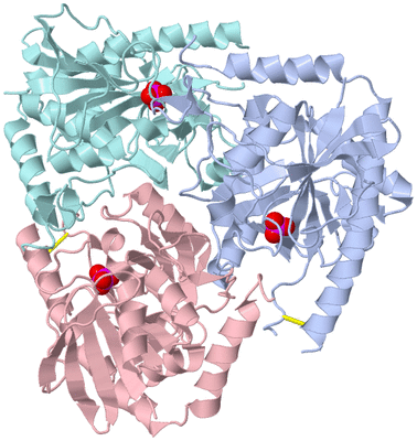 Image Biological Unit 1