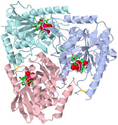 Image Biol. Unit 1 - sites