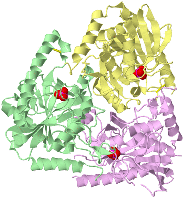 Image Biological Unit 2