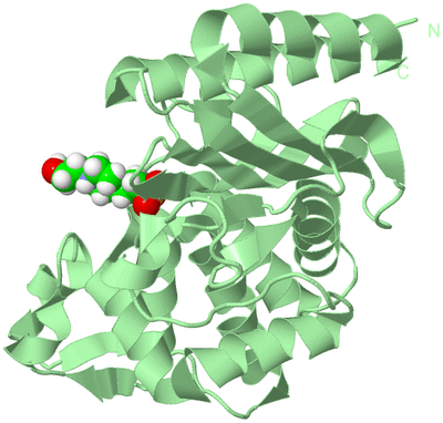 Image Biological Unit 2