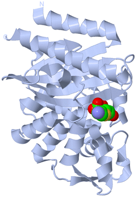 Image Biological Unit 1