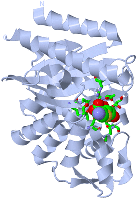 Image Biol. Unit 1 - sites