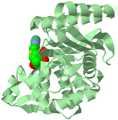 Image Biological Unit 2