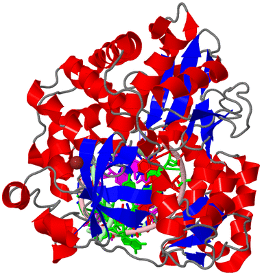 Image Asym./Biol. Unit