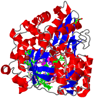 Image Asym./Biol. Unit - sites