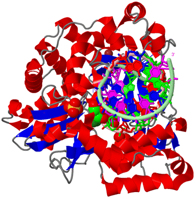 Image Asym./Biol. Unit