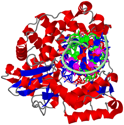 Image Asym./Biol. Unit