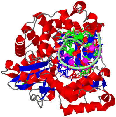 Image Asym./Biol. Unit - sites