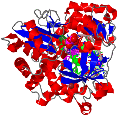 Image Asym./Biol. Unit