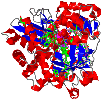 Image Asym./Biol. Unit - sites