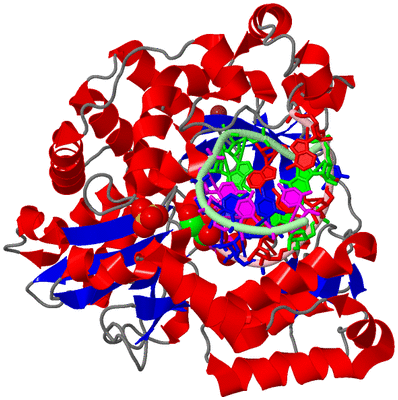 Image Asym./Biol. Unit