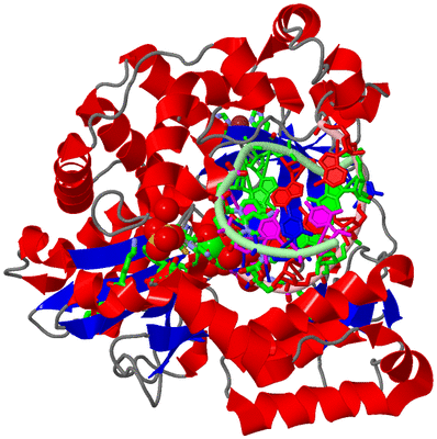 Image Asym./Biol. Unit - sites