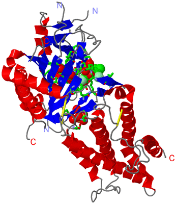 Image Asym./Biol. Unit - sites