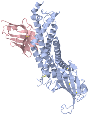 Image Biological Unit 1