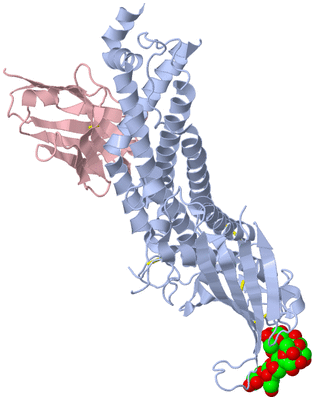 Image Biological Unit 1