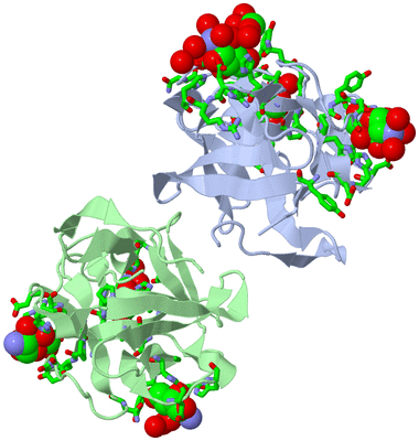 Image Asym./Biol. Unit - sites