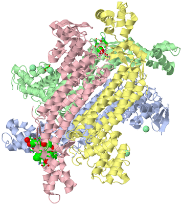 Image Asym./Biol. Unit - sites