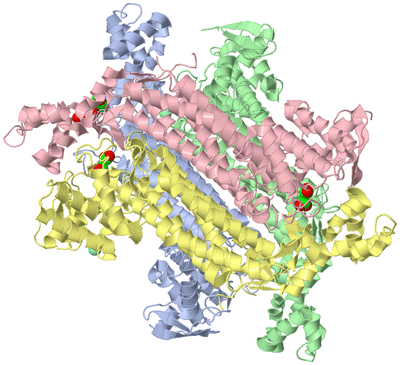 Image Asym./Biol. Unit