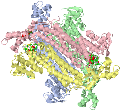 Image Asym./Biol. Unit - sites