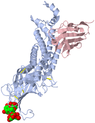 Image Biological Unit 1