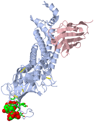 Image Biol. Unit 1 - sites