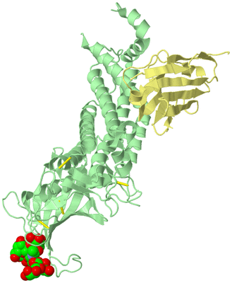 Image Biological Unit 2