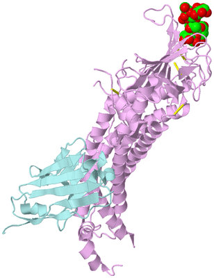 Image Biological Unit 3