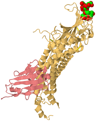 Image Biological Unit 4