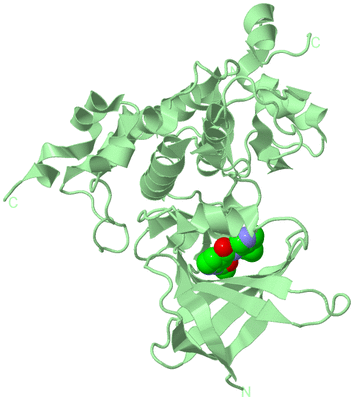 Image Biological Unit 2