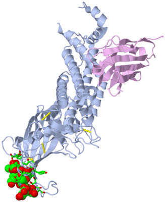 Image Biol. Unit 1 - sites