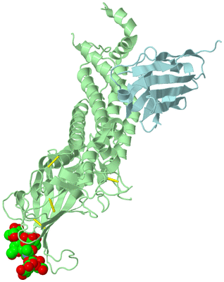 Image Biological Unit 2