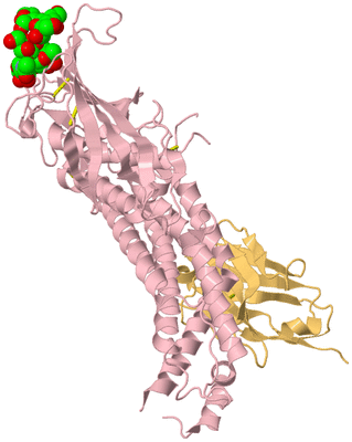 Image Biological Unit 3