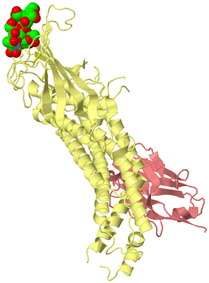 Image Biological Unit 4