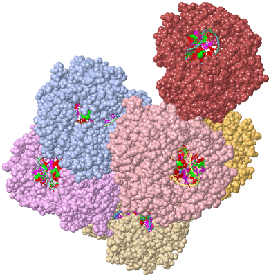 Image Asym./Biol. Unit