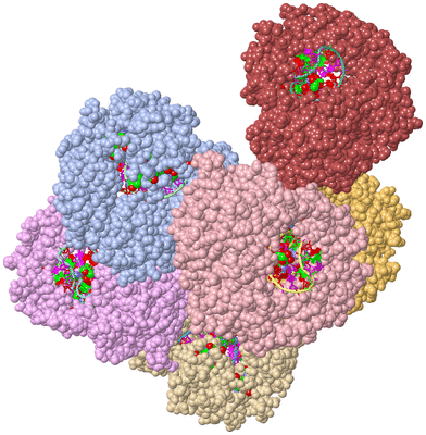 Image Asym./Biol. Unit - sites