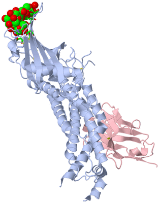 Image Asym./Biol. Unit - sites