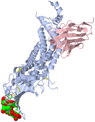 Image Asym./Biol. Unit - sites