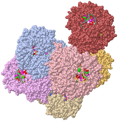 Image Asym./Biol. Unit