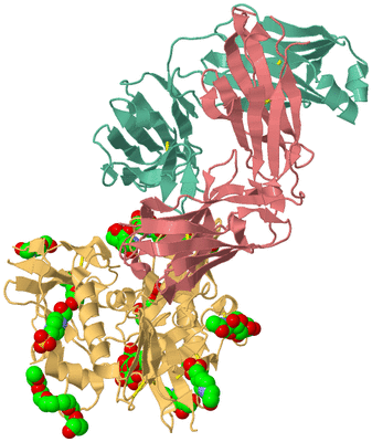 Image Asym./Biol. Unit