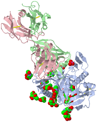 Image Biological Unit 1