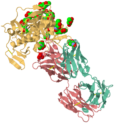 Image Biological Unit 2