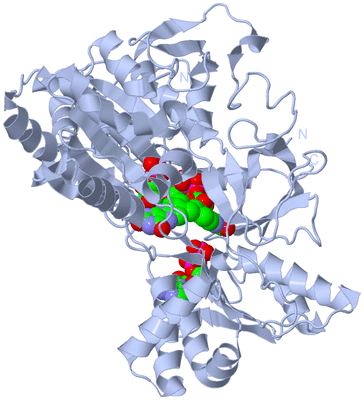 Image Biological Unit 1