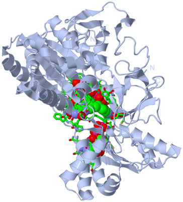 Image Biol. Unit 1 - sites