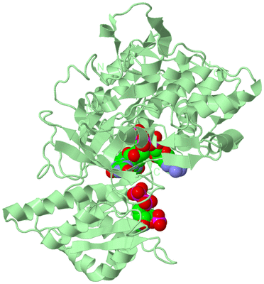 Image Biological Unit 2